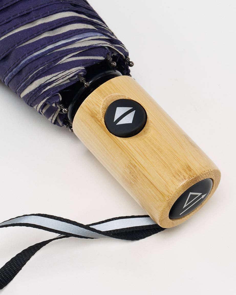 Astronomy Umbrella