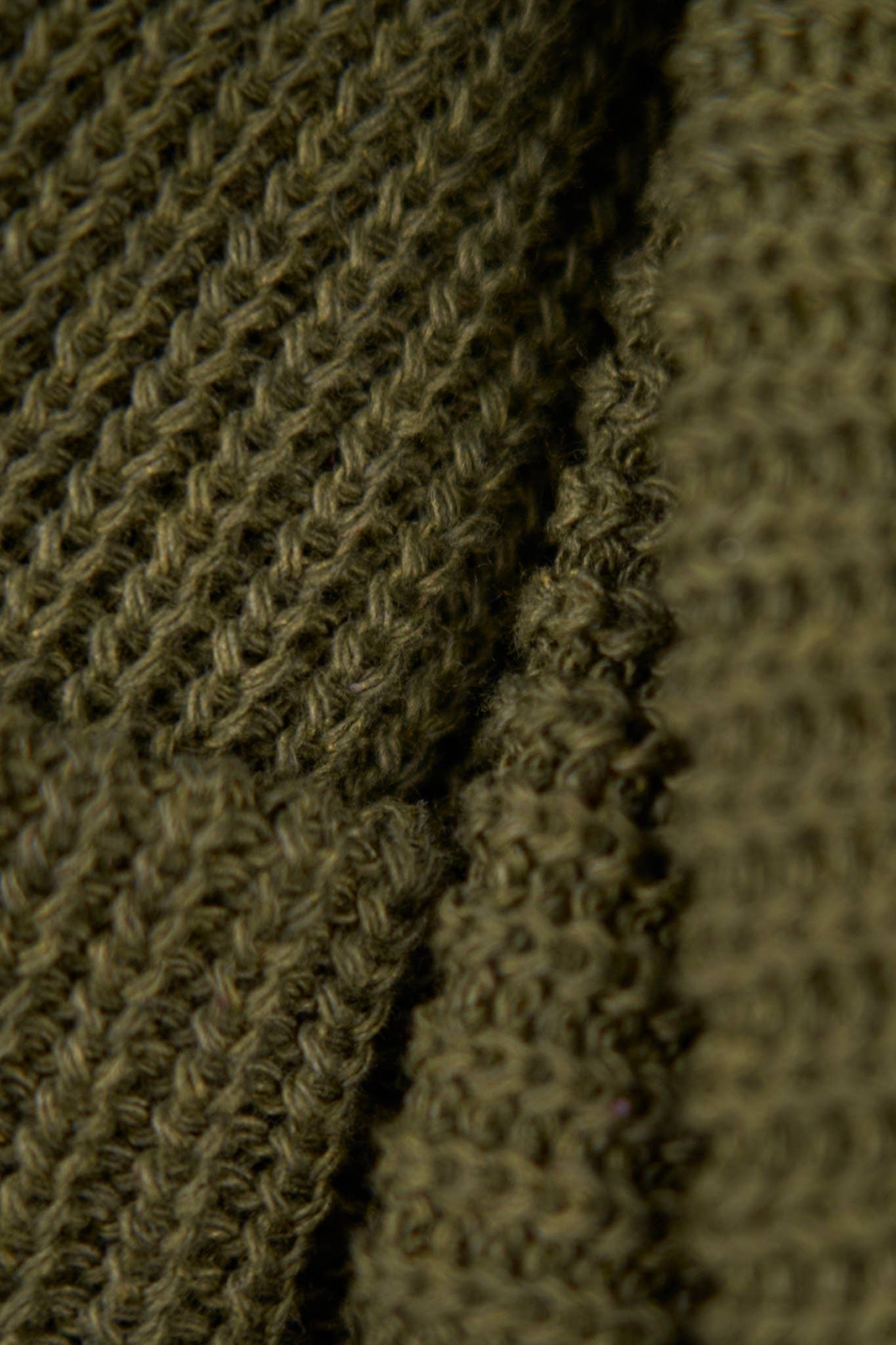 NEW Thicket Green Upcycled Cotton Watchcap