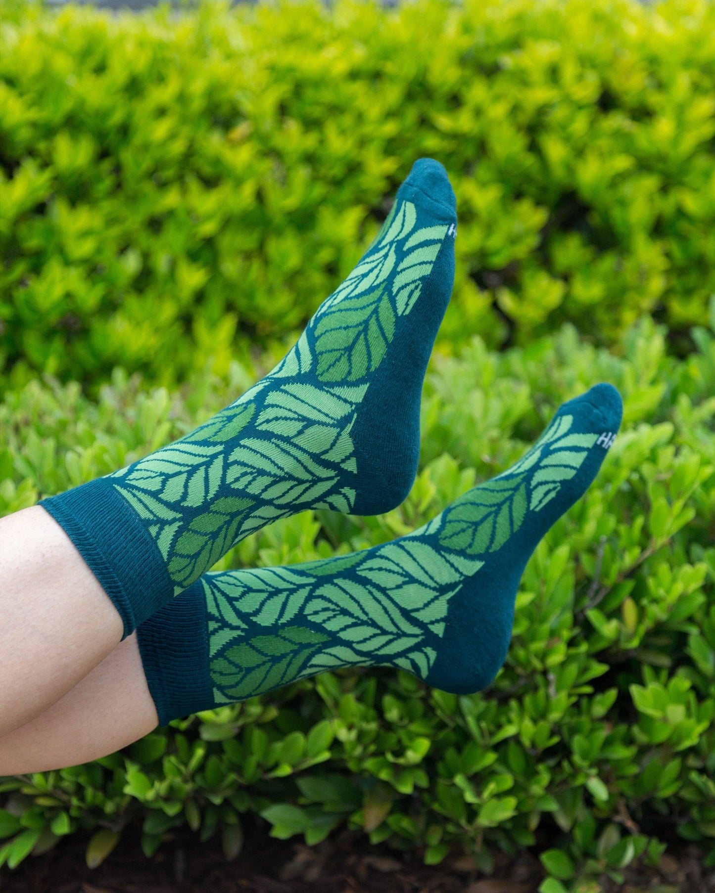 Leaf Men's + Women's Organic Socks | Green