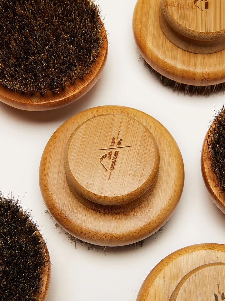 Kate McLeod The Dry Brush