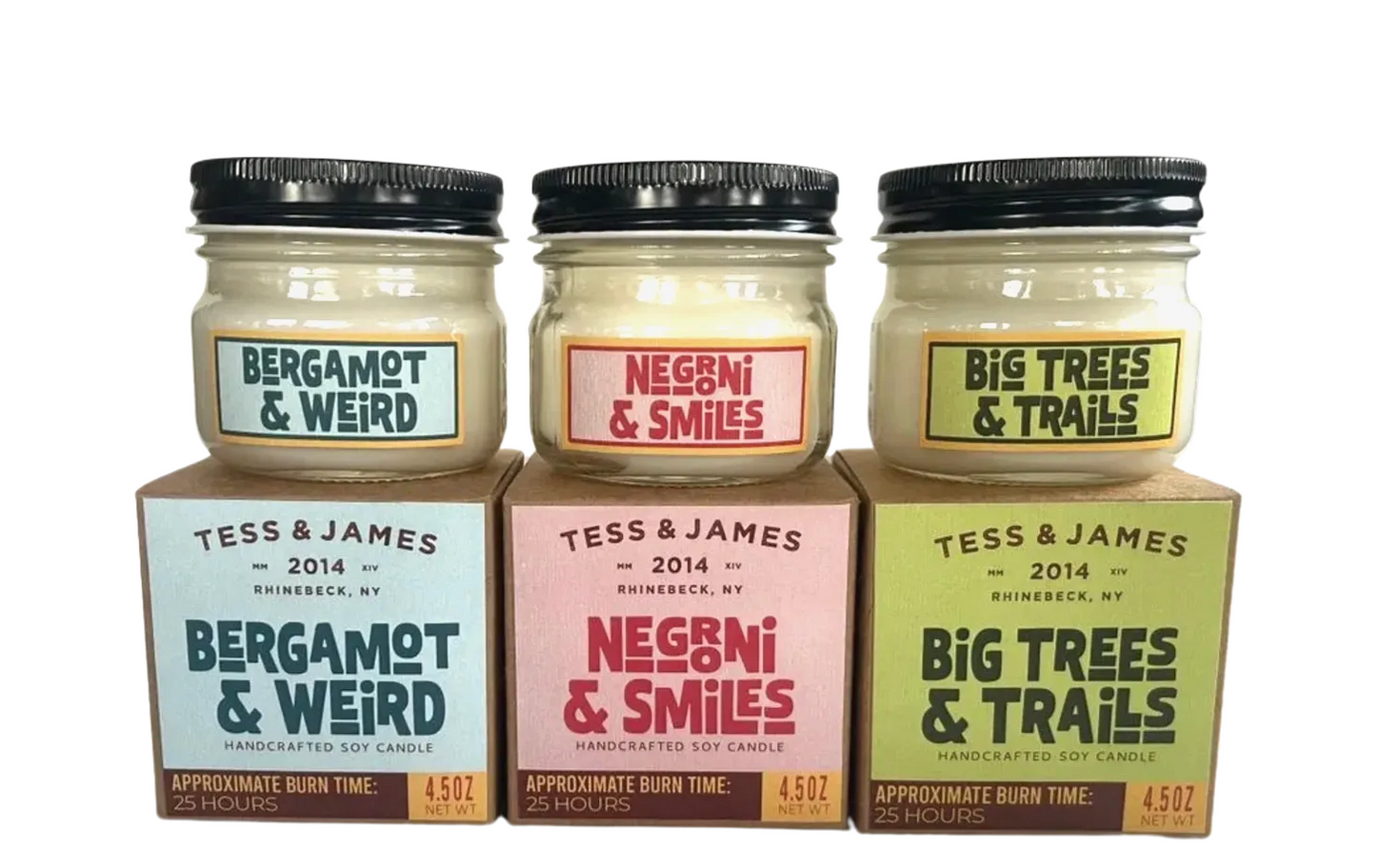 Big Trees & Trails 4.5 oz Candle