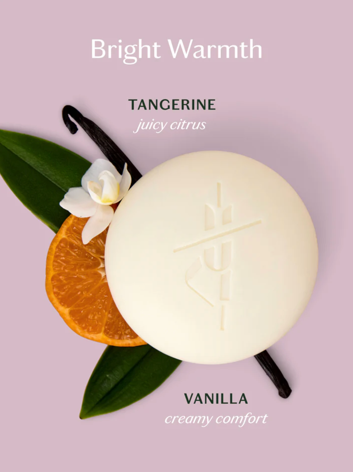 Kate McLeod | Tangerine & Vanilla
