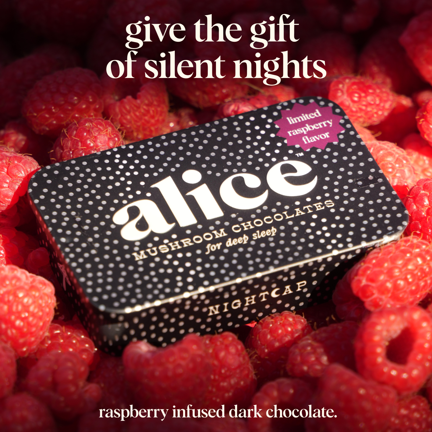 ALICE Mushroom Chocolate | Raspberry Nightcap — deep sleep
