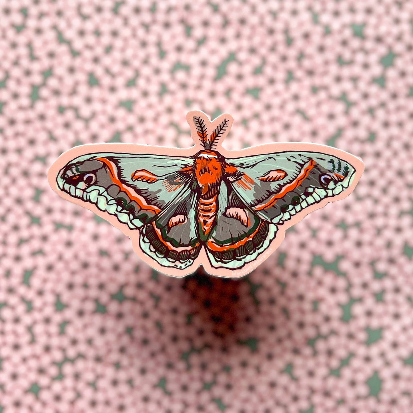 Cecropia moth sticker