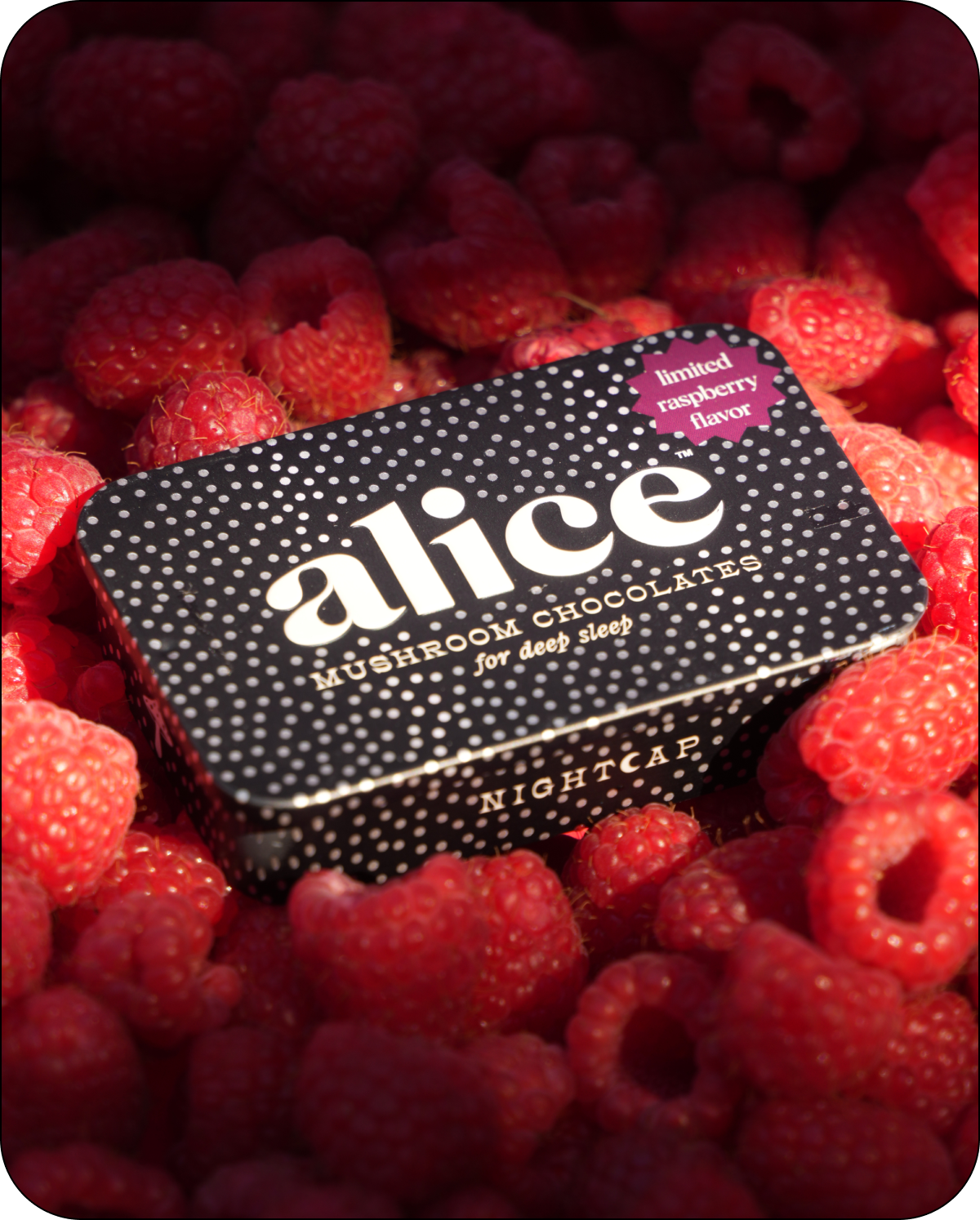 ALICE Mushroom Chocolate | Raspberry Nightcap — deep sleep