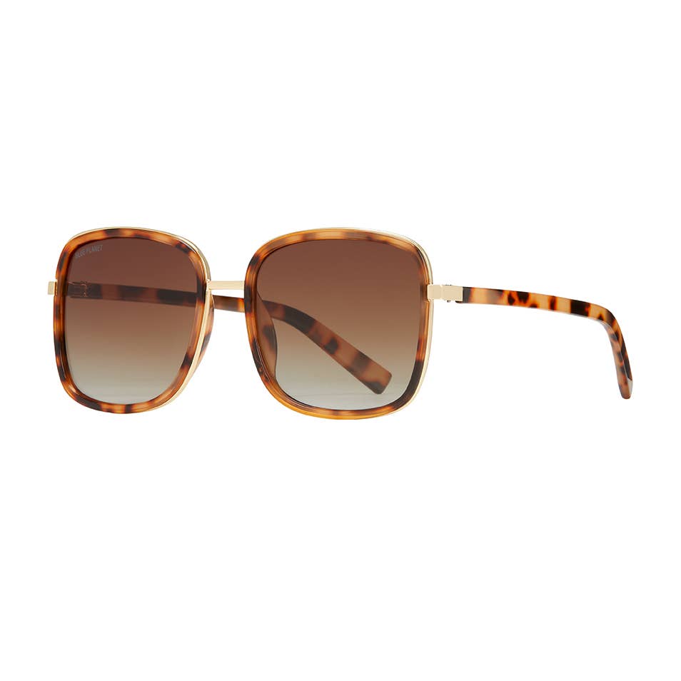 Brynne - Honey Tortoise/ Gradient Brown Polarized