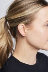 Hinge Hoops (Able 2)
