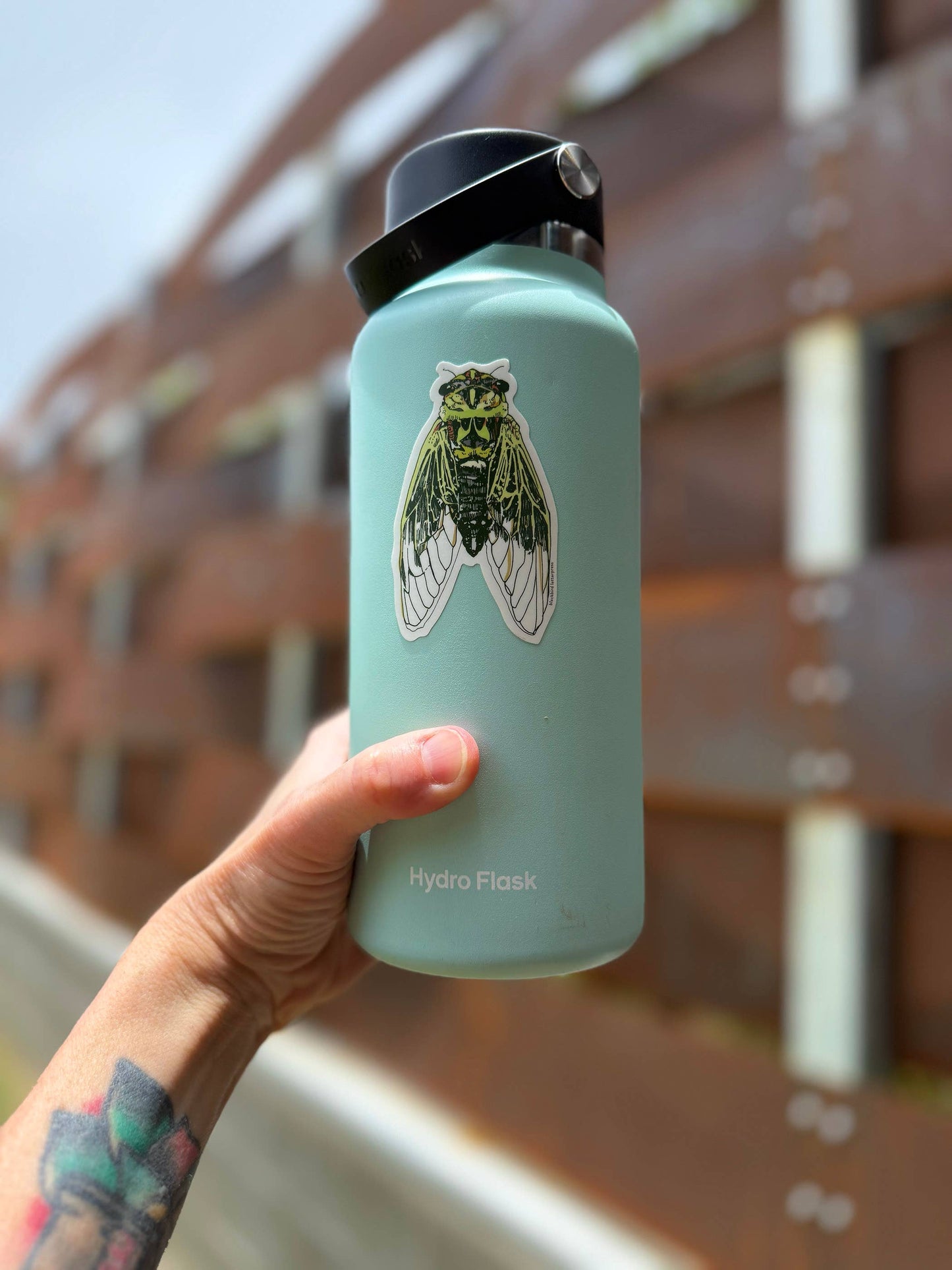 Cicada sticker
