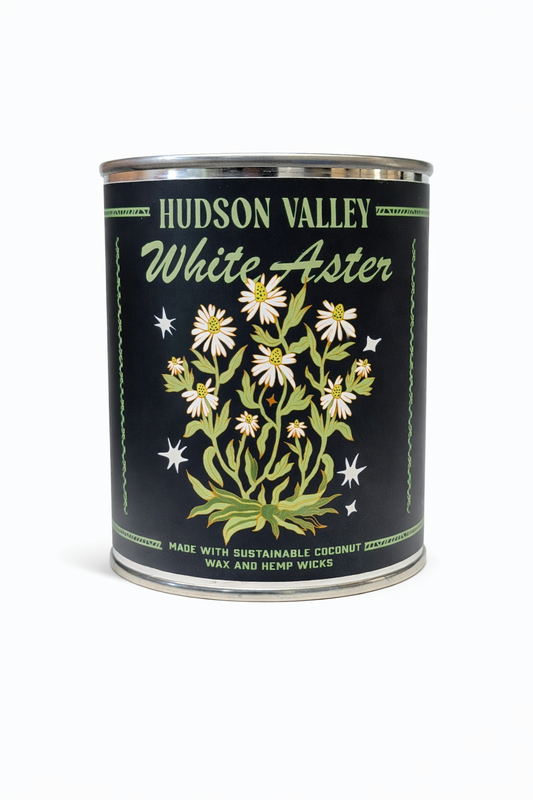 Hudson Valley White Aster Central Paint Can Wax Candle