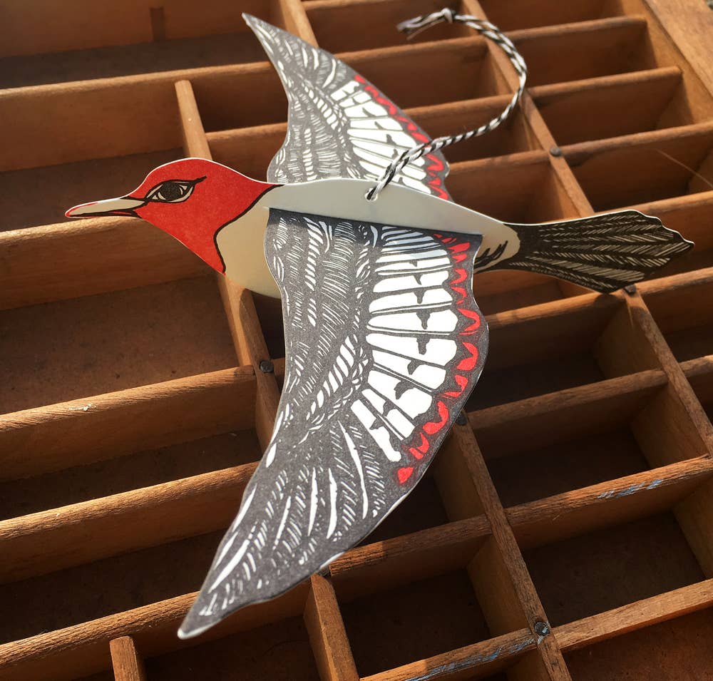 Woodpecker pop-out bird card
