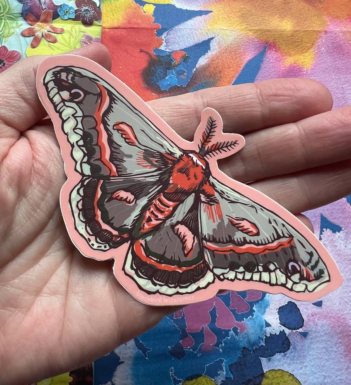 Cecropia moth sticker