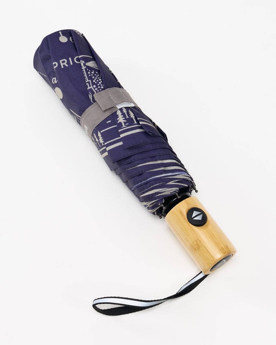 Astronomy Umbrella