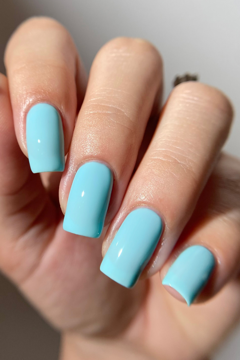 Blue Bird