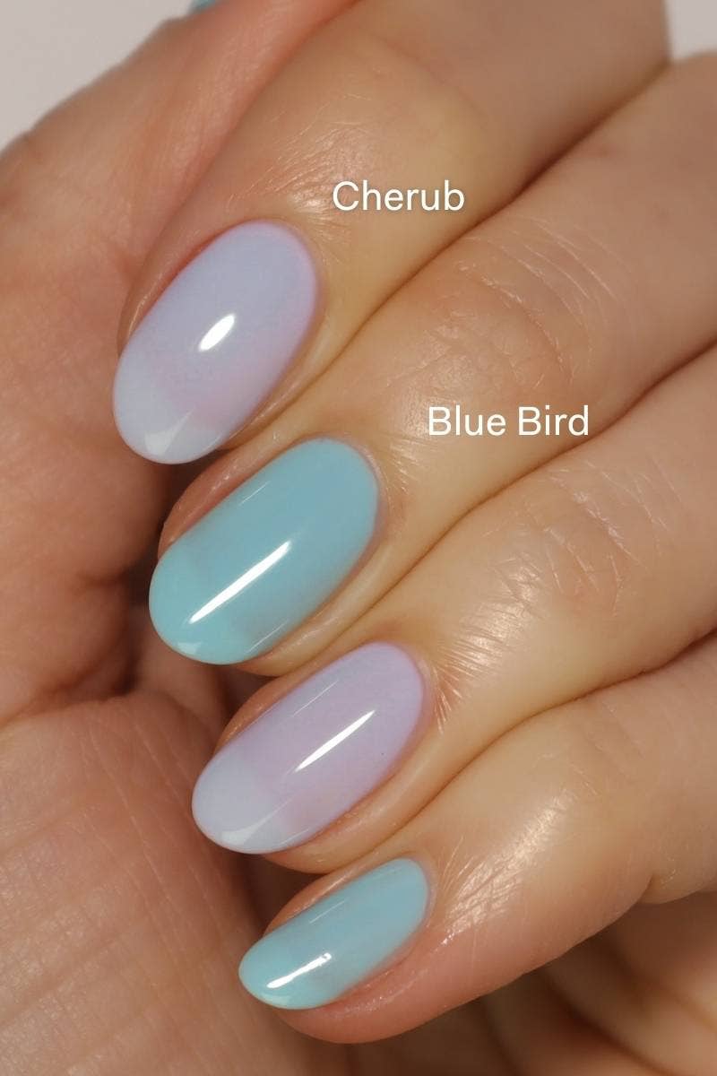 Blue Bird