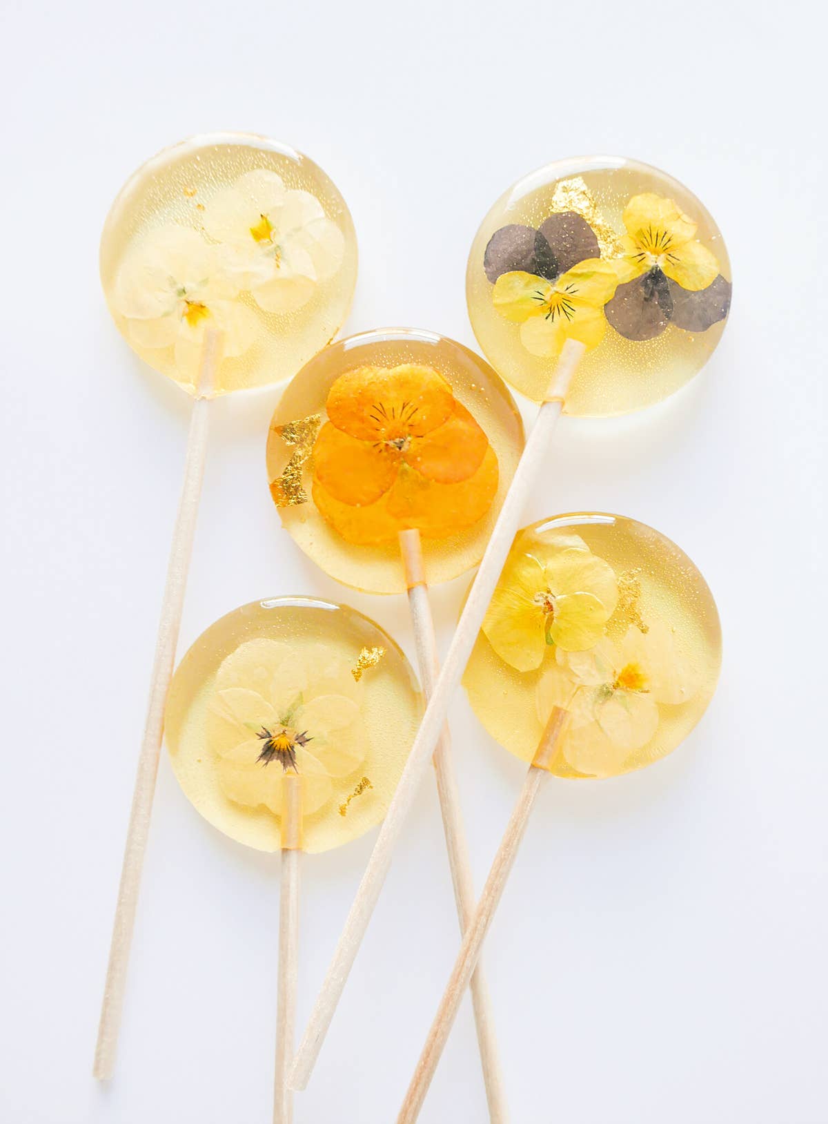 Elderflower Champagne  Lollipop 5 pc Gift-set  | Vegan Candy