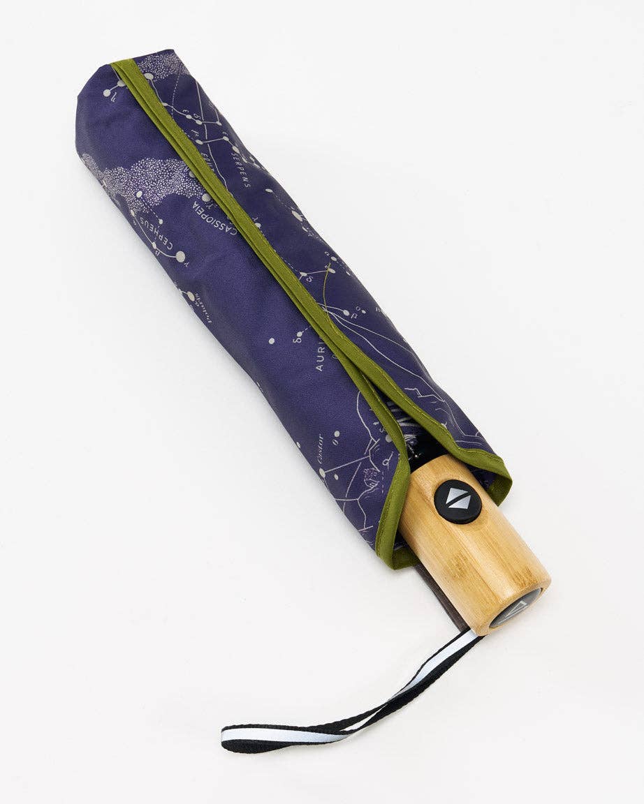 Astronomy Umbrella