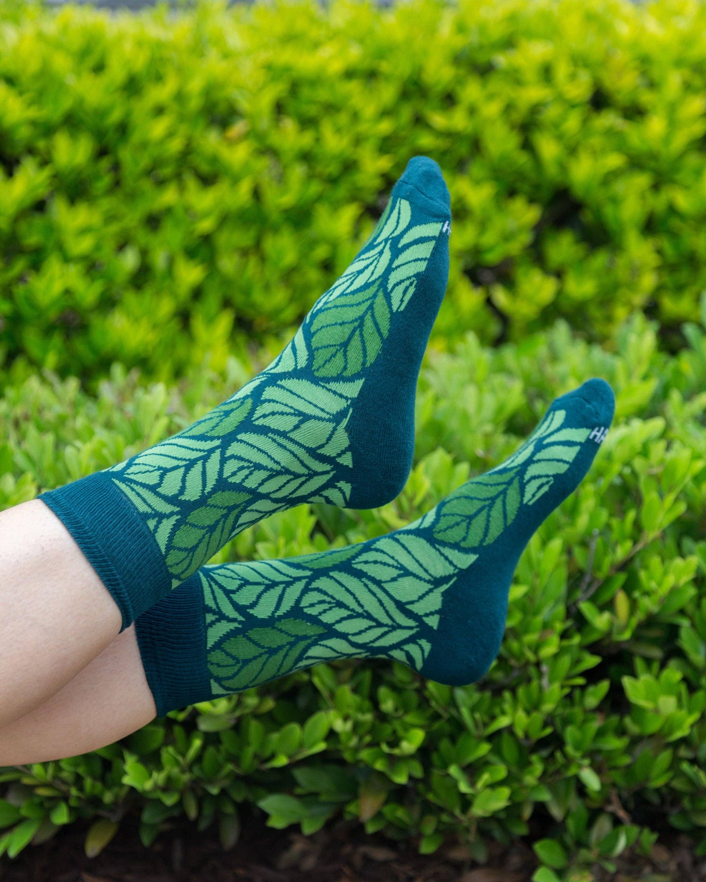 Leaf Men's + Women's Organic  Socks | Green