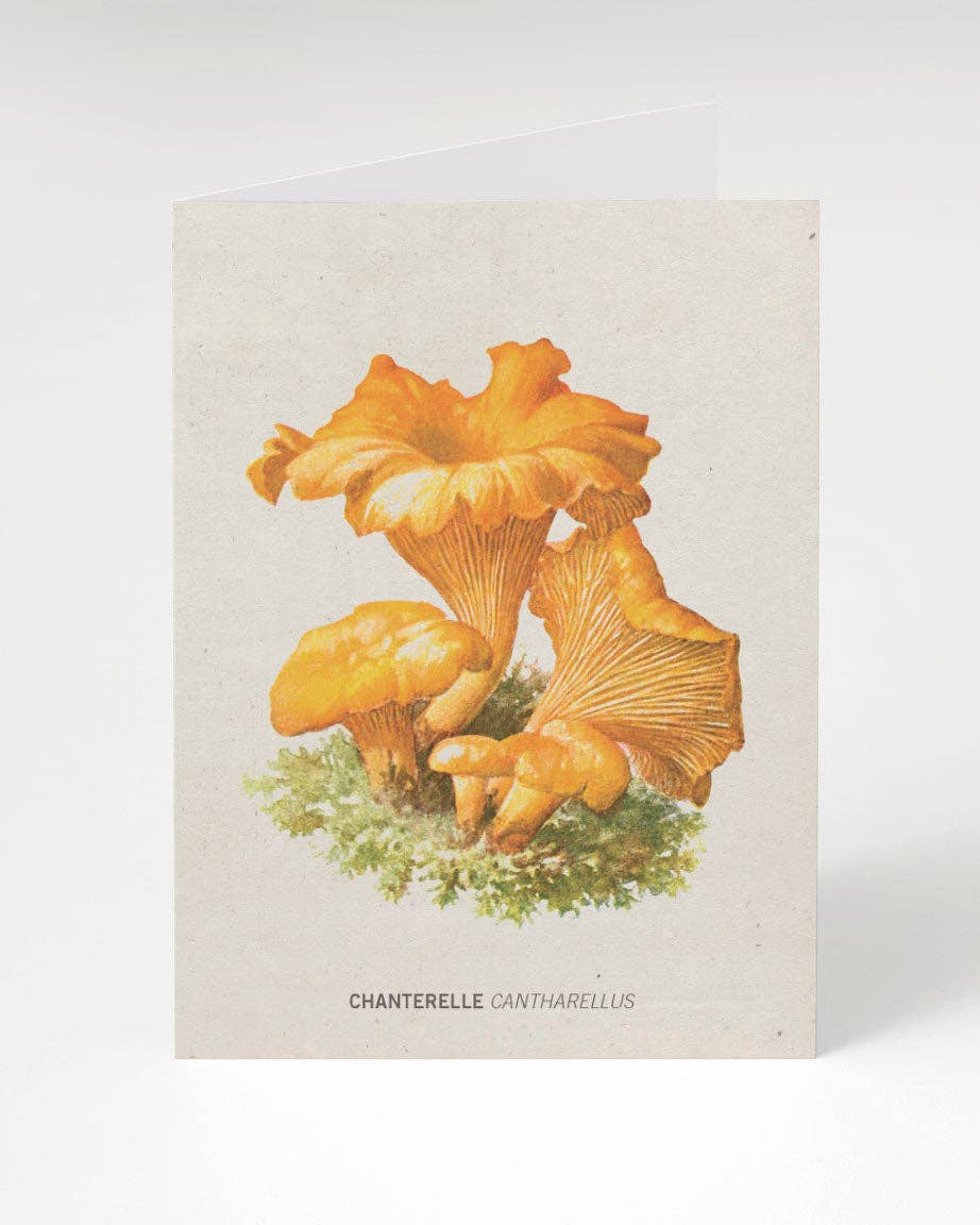 Chanterelle Mushroom Card (Case of 6)