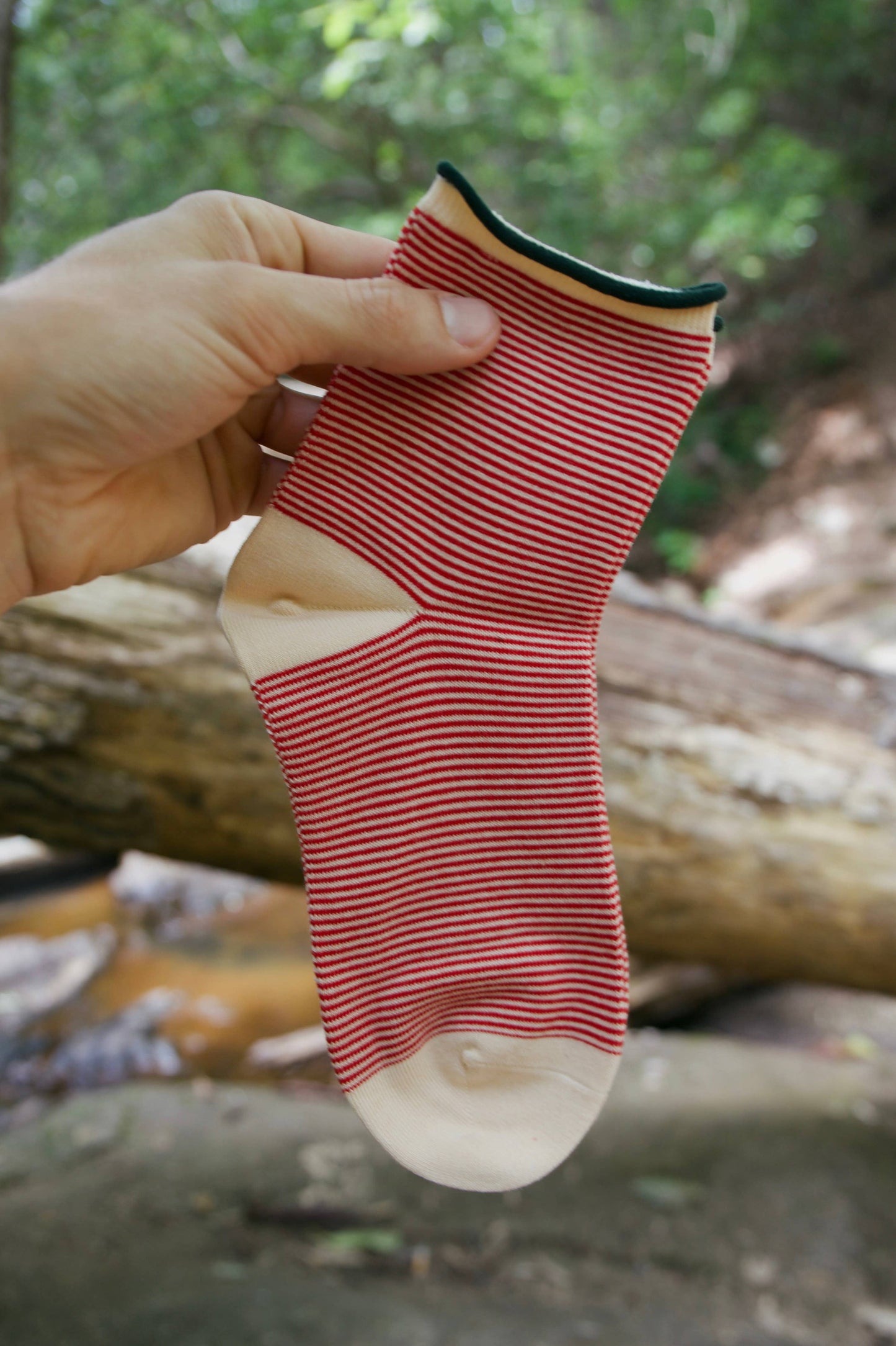 GARDEN BERRY SOCKS