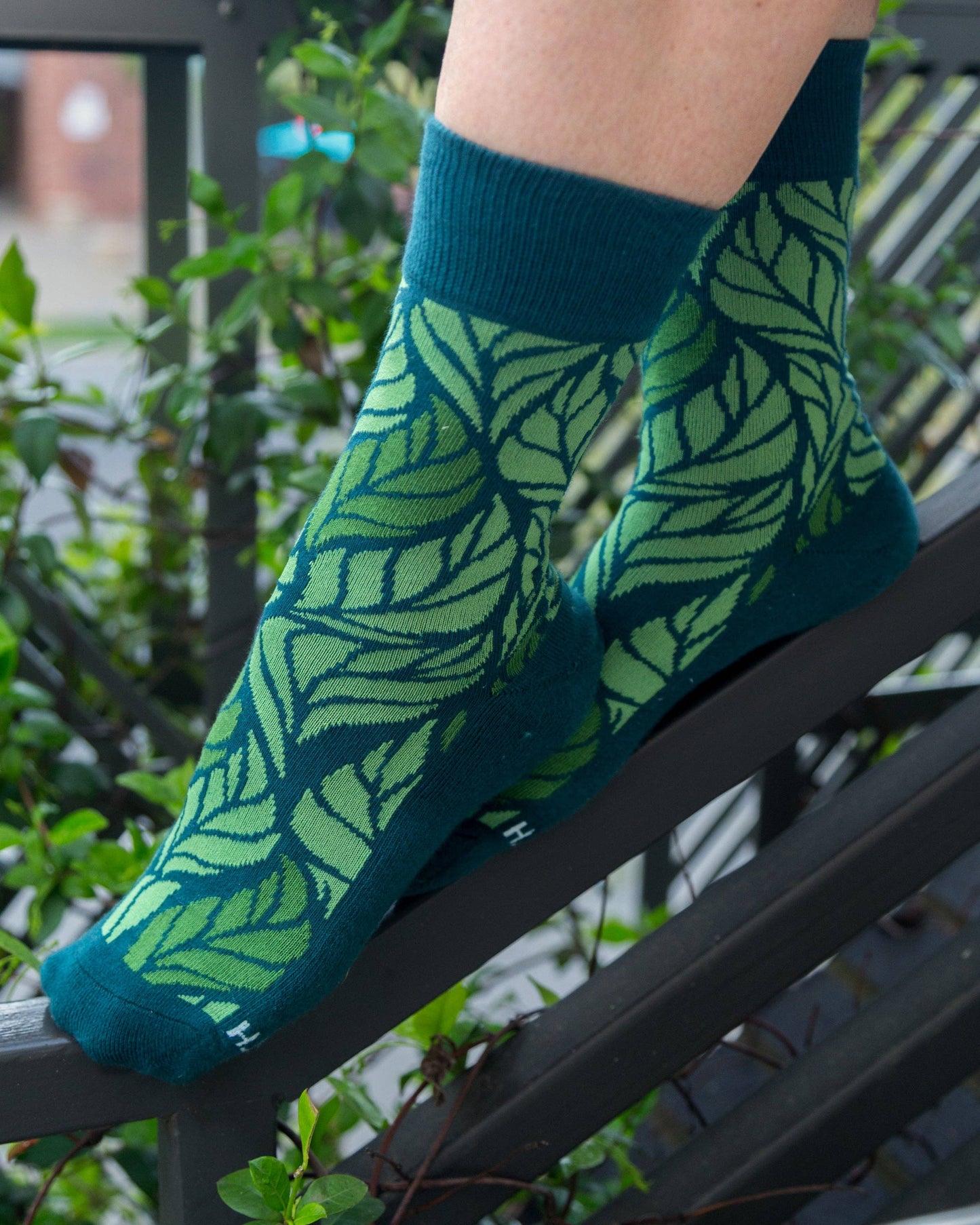 Leaf Men's + Women's Organic  Socks | Green