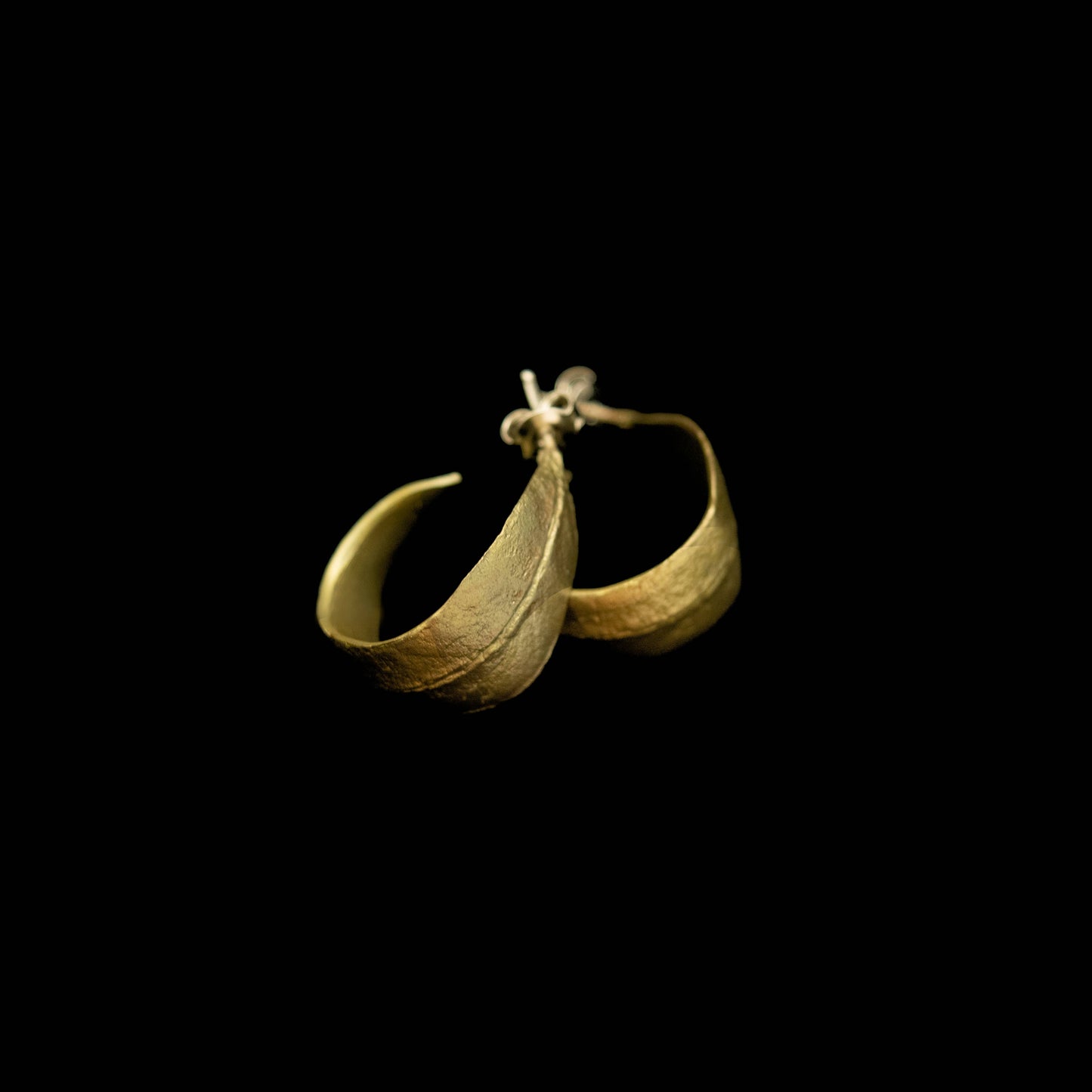 Eucalyptus Hoop Earrings