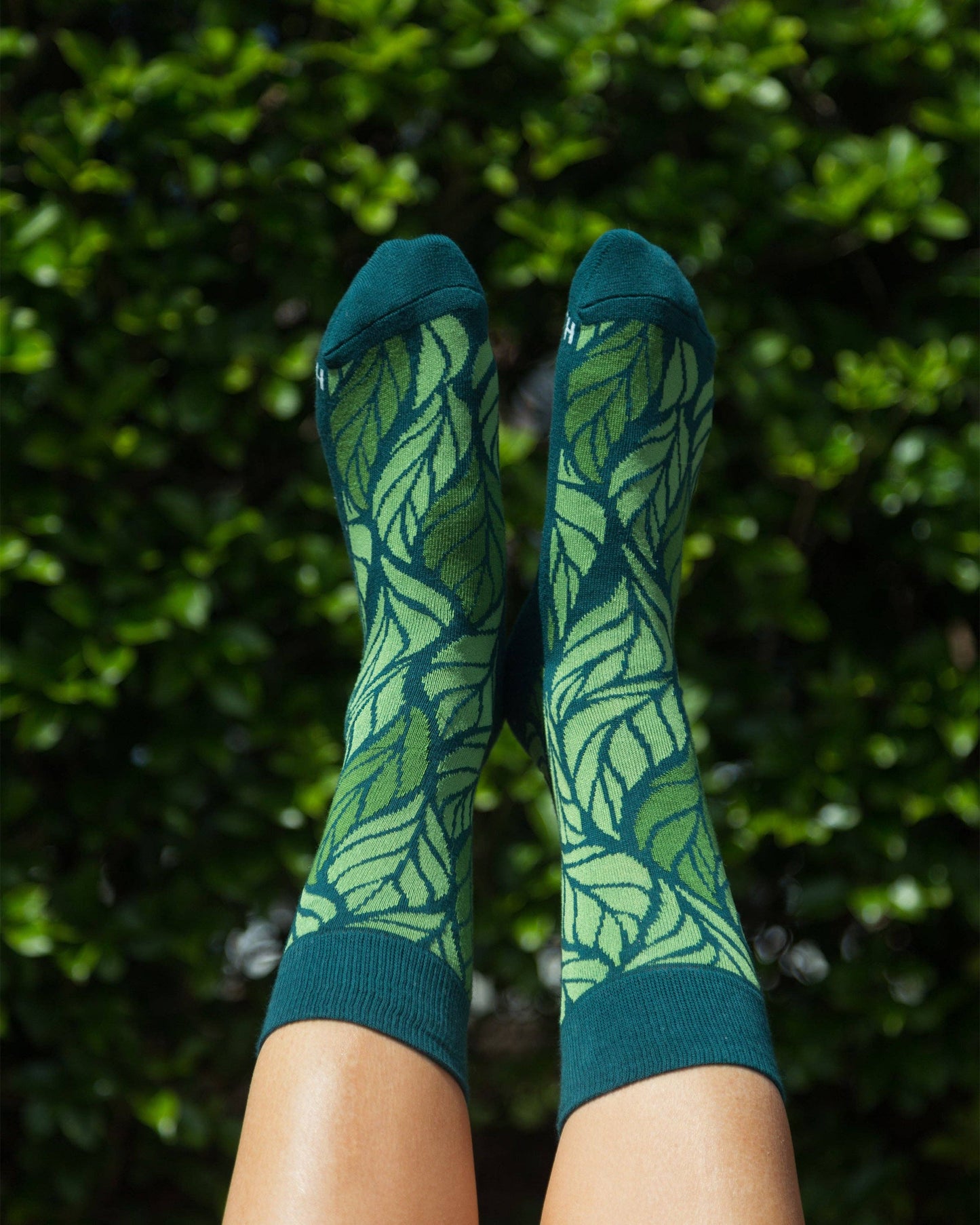 Leaf Men's + Women's Organic  Socks | Green