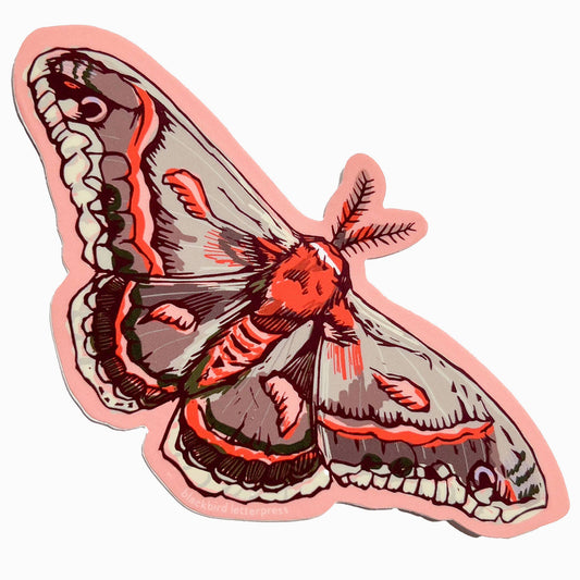 Cecropia moth sticker
