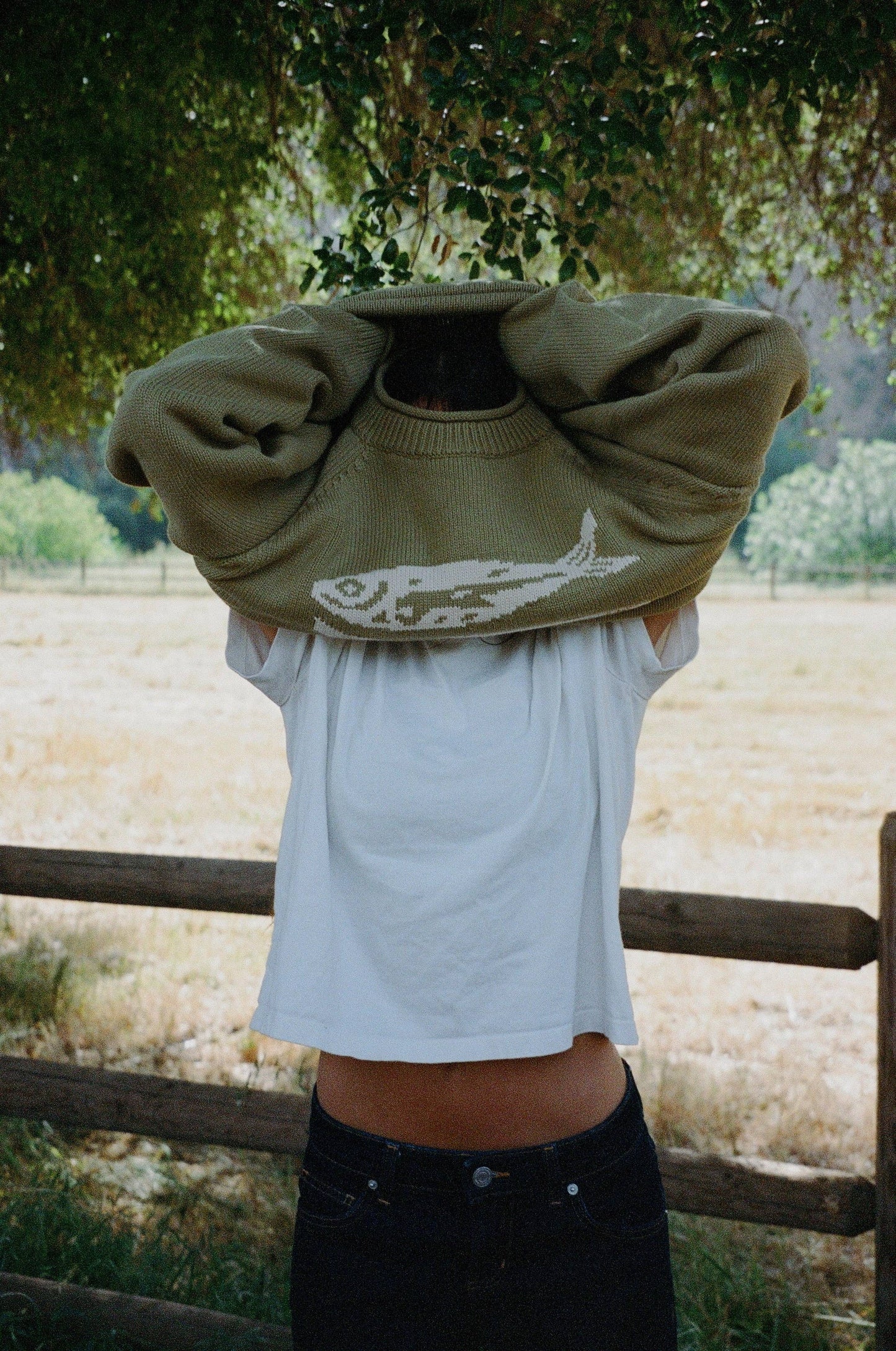 GREEN COTTON FISH SWEATER