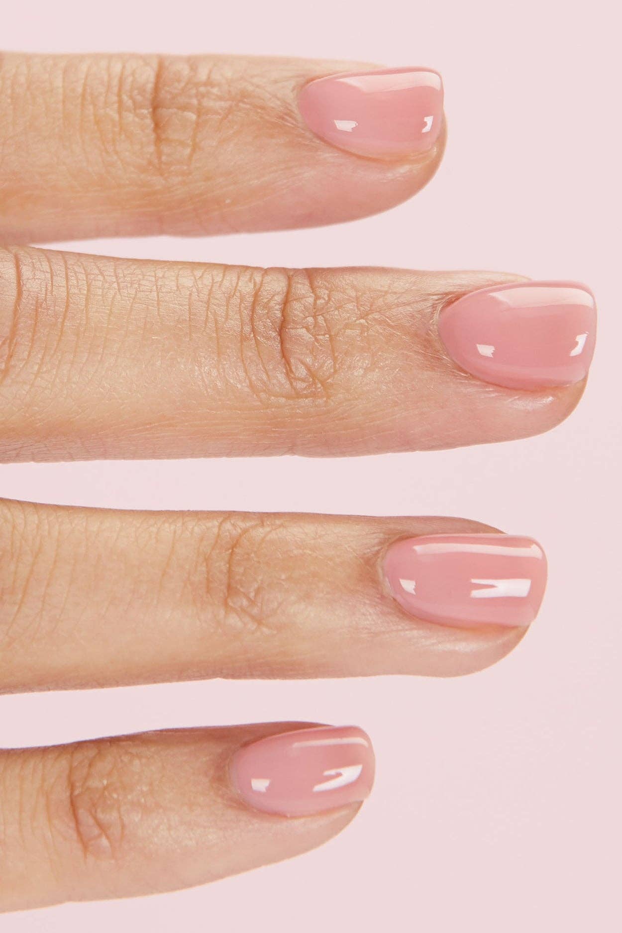 Rose Jelly