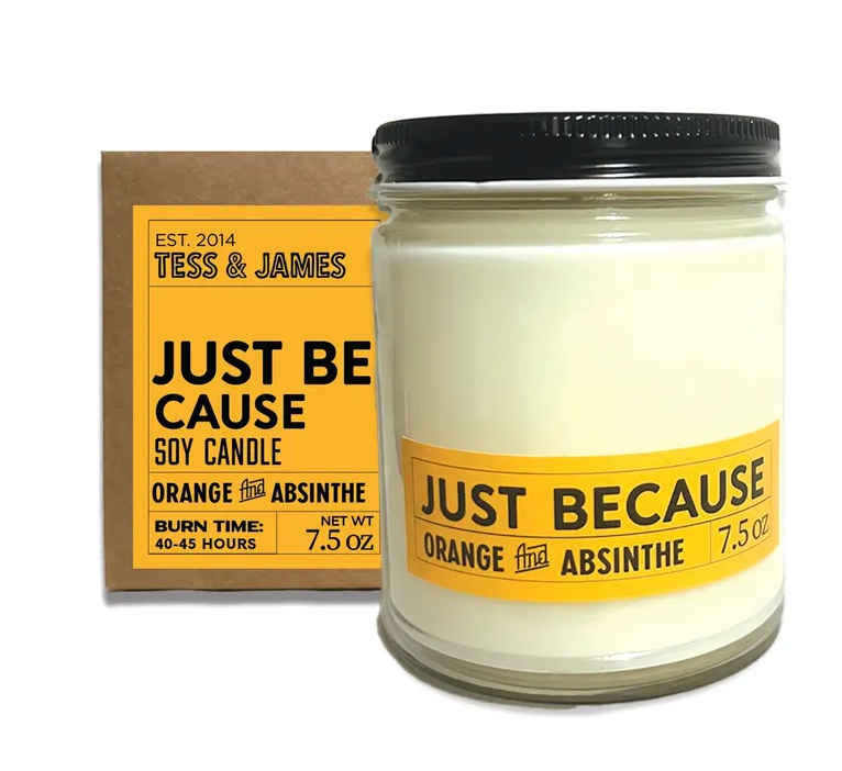 Just Be Cause Soy Candle - Orange and Absinthe