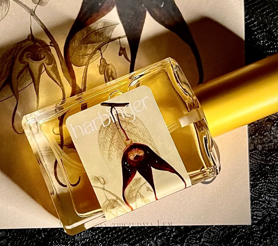 Harbinger - Perfume 10ml