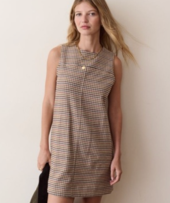 Izzy Moleskin Shift Dress | Fall Check