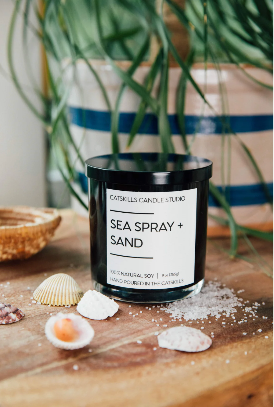 Sea Spray + Sand
