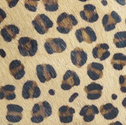 Katrina Small Tote -Printed Hairon Leather