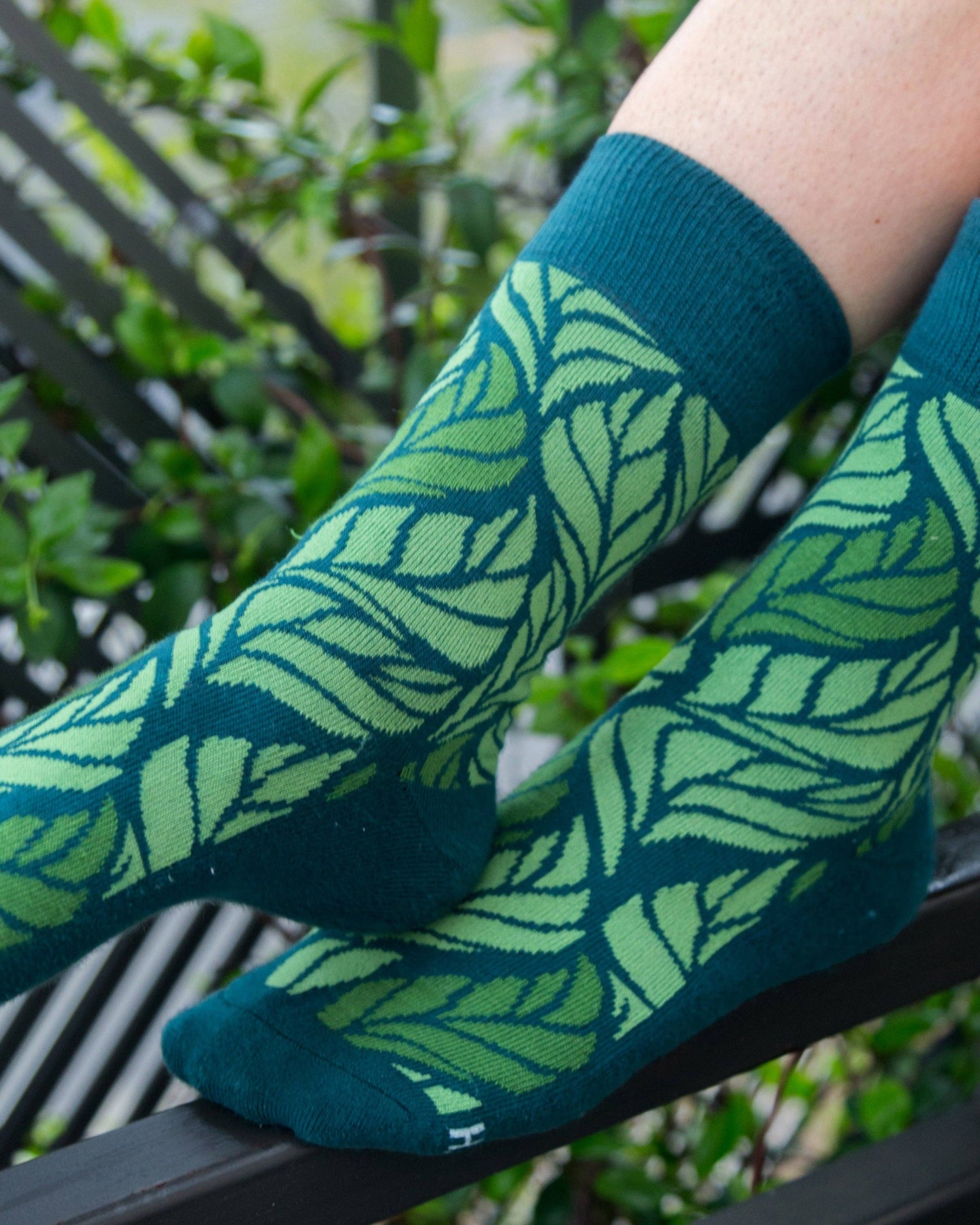 Leaf Men's + Women's Organic  Socks | Green