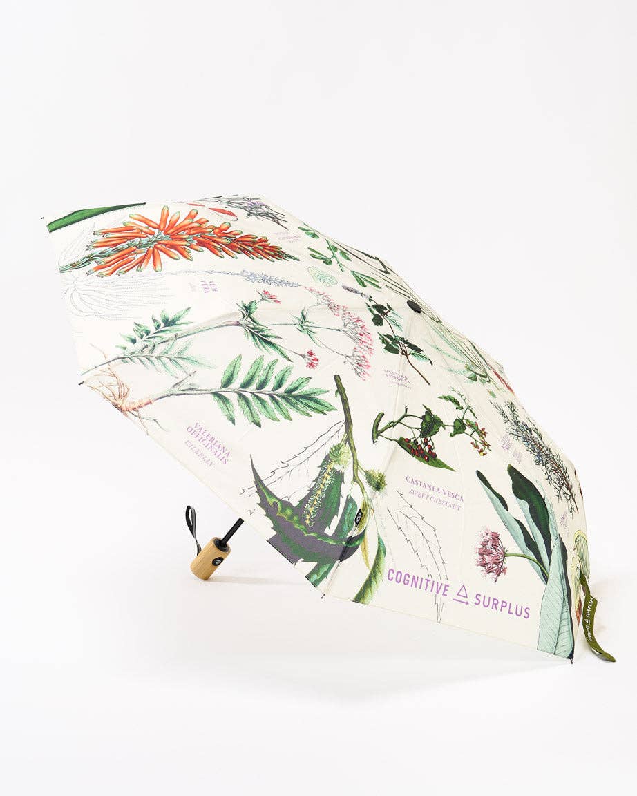 Medicinal Botany Umbrella