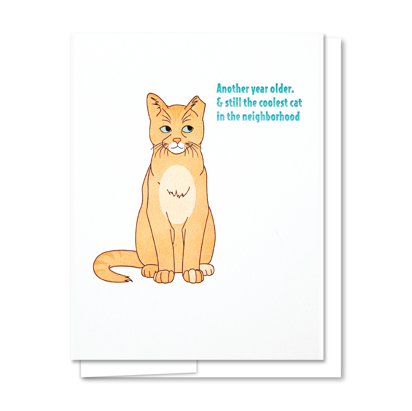 Cool Cat Birthday - Letterpress Funny Birthday Card