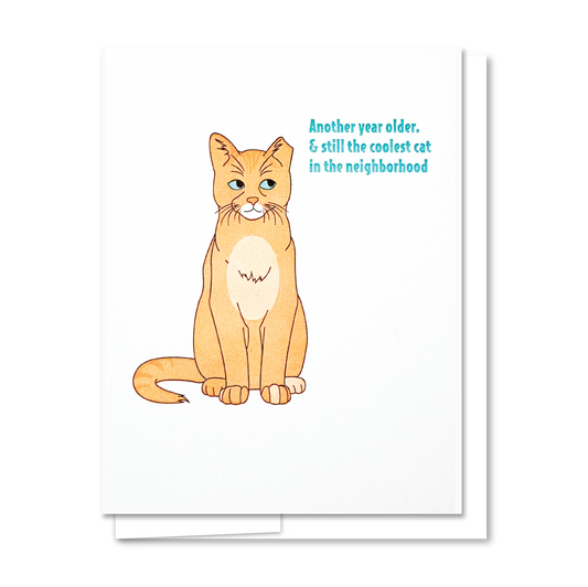 Cool Cat Birthday - Letterpress Funny Birthday Card