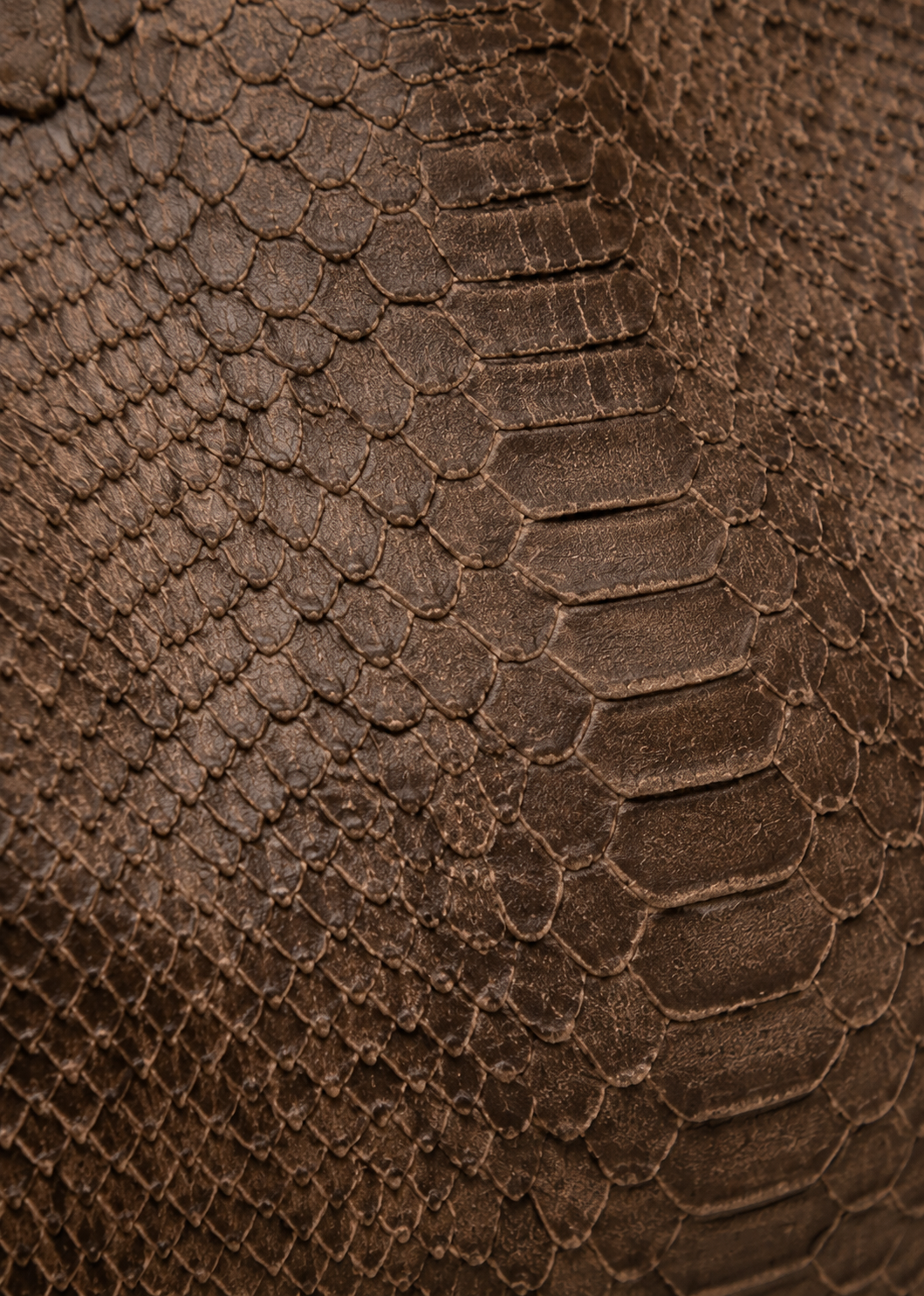 LOLA – Italian Python-Embossed Leather Bag – Dark Taupe