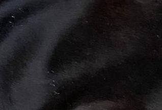 Mia Clutch Cowhide Hairon Leather