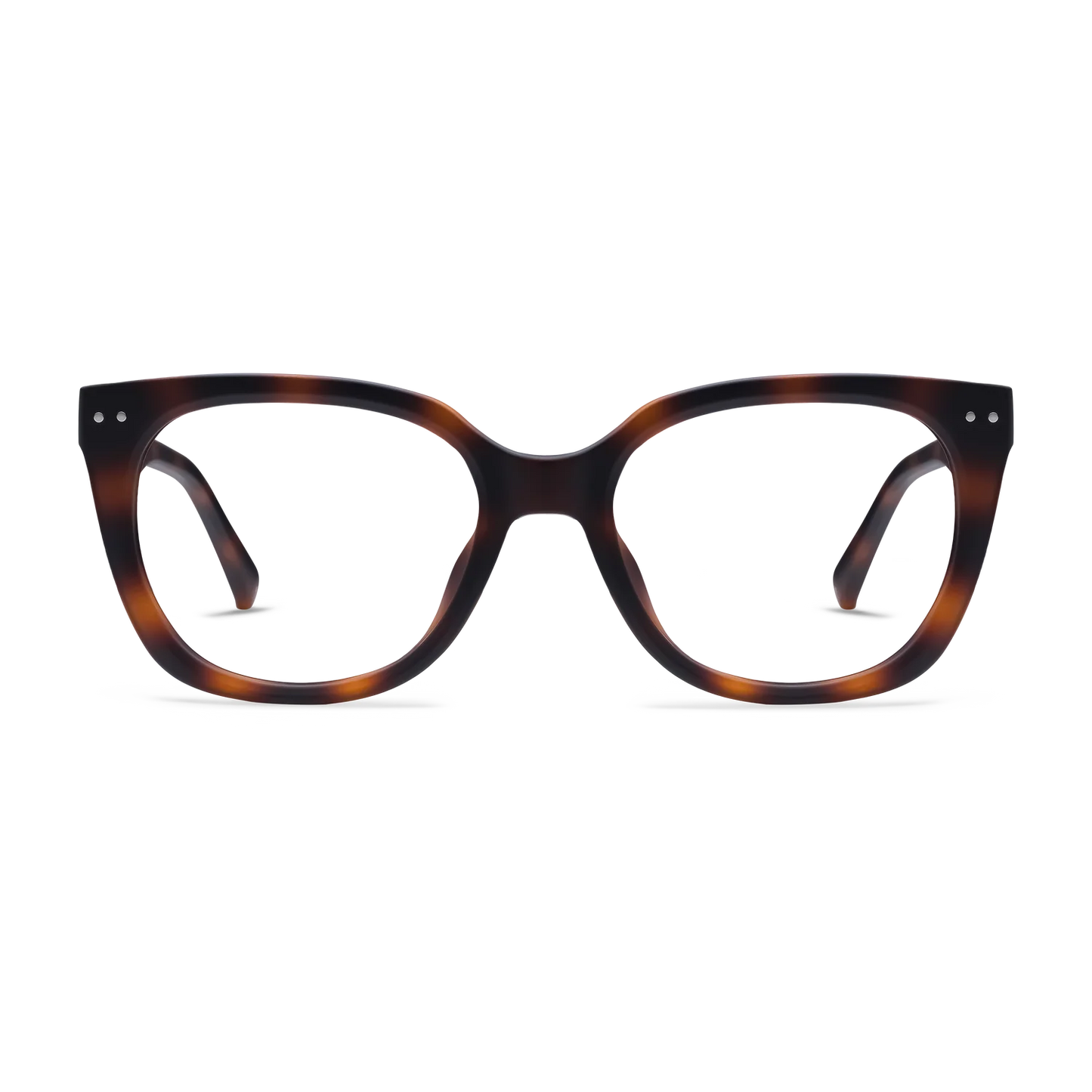 Evita Readers | Tortoise