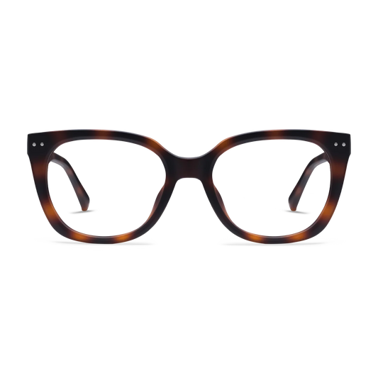 Evita Readers | Tortoise