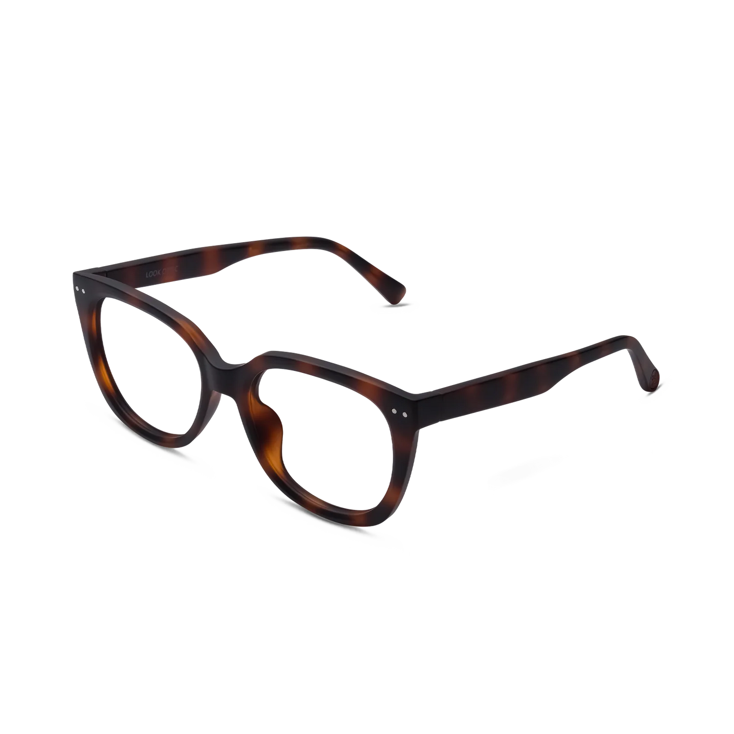 Evita Readers | Tortoise