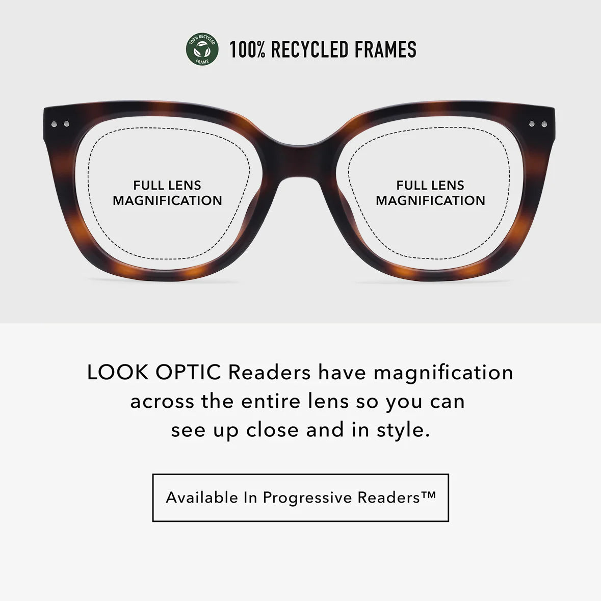 Evita Readers | Tortoise