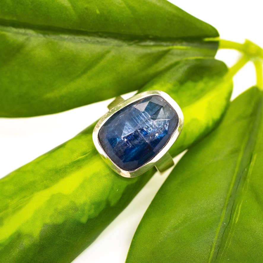Organic Shape Sterling Silver Kyanite Ring