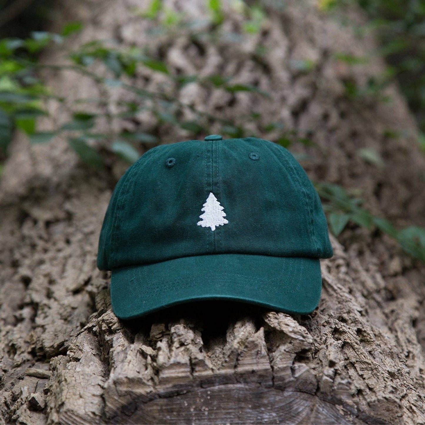 White Fir Men's + Women's Organic Hat | Green