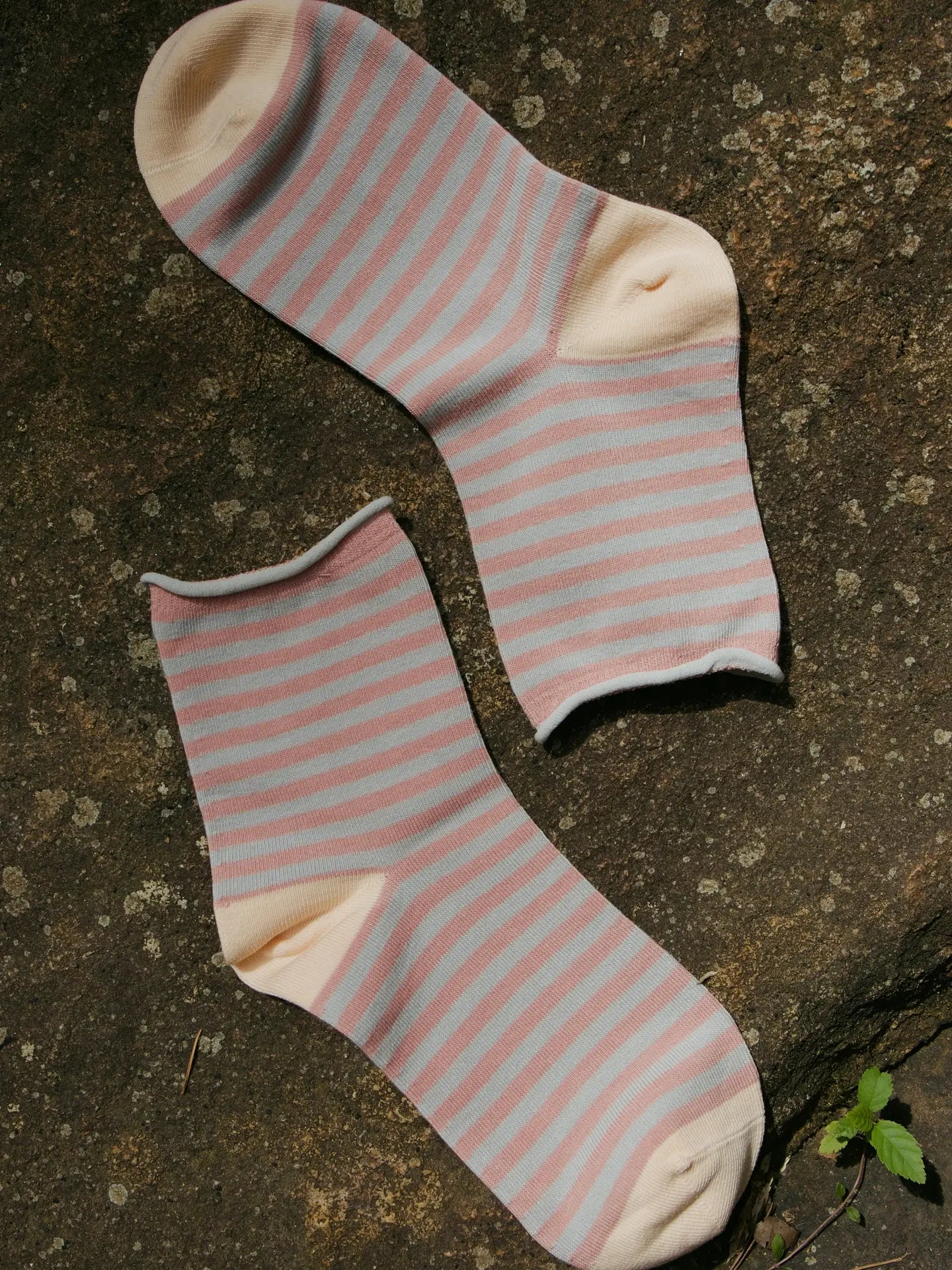 Hydrangea Flowers Striped Socks