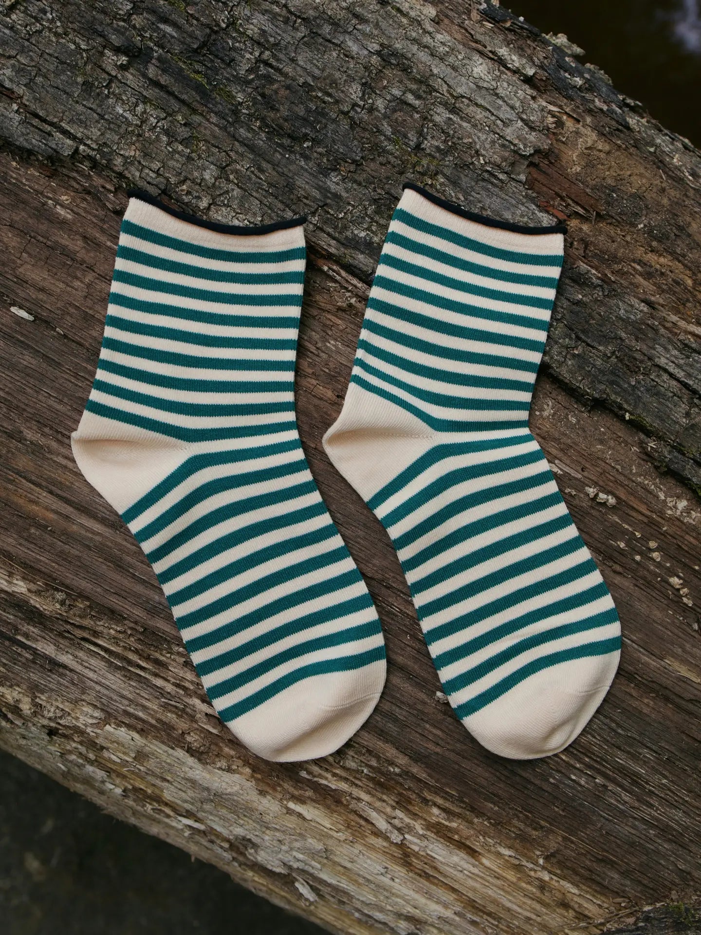 Wild Fern Striped Socks